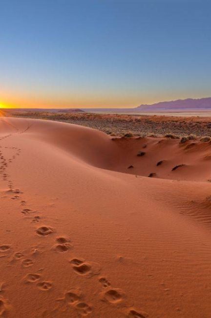 Les plus beaux safaris en Namibie à vivre avec Hors Pistes Voyages