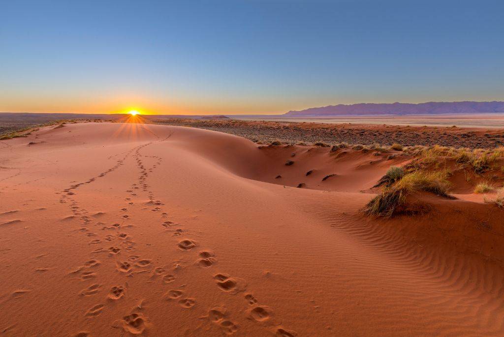 Les plus beaux safaris en Namibie à vivre avec Hors Pistes Voyages
