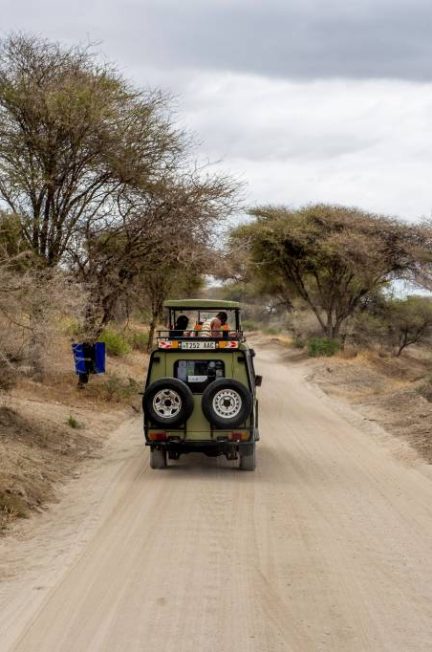 Agence de voyage Tanzanie : pourquoi Hors Pistes s’impose pour un séjour sur mesure, du safari à Zanzibar