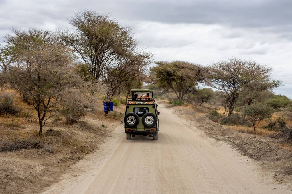 Agence de voyage Tanzanie : pourquoi Hors Pistes s’impose pour un séjour sur mesure, du safari à Zanzibar